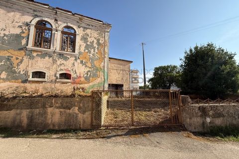 Landejendom i Sangalhos, Aveiro, Sangalhos - € 500.000 | Ref: CAS_199 - foto 12