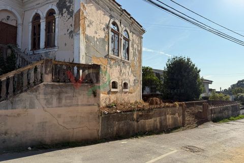 Landejendom i Sangalhos, Aveiro, Sangalhos - € 500.000 | Ref: CAS_199 - foto 14