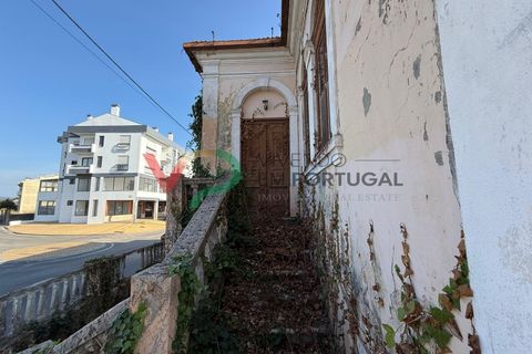 Landejendom i Sangalhos, Aveiro, Sangalhos - € 500.000 | Ref: CAS_199 - foto 15