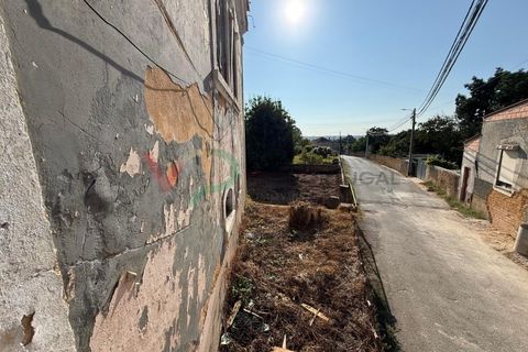 Landejendom i Sangalhos, Aveiro, Sangalhos - € 500.000 | Ref: CAS_199 - foto 16