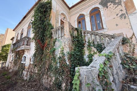 Landejendom i Sangalhos, Aveiro, Sangalhos - € 500.000 | Ref: CAS_199 - foto 17