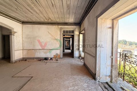 Landejendom i Anadia, Aveiro, Anadia - € 160.000 | Ref: CAS_198 - foto 3