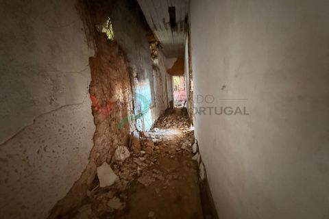 Landejendom i Anadia, Aveiro, Anadia - € 160.000 | Ref: CAS_198 - foto 12