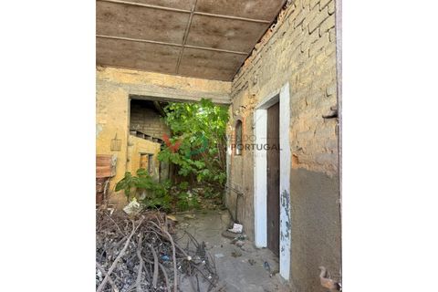 Landejendom i Anadia, Aveiro, Anadia - € 150.000 | Ref: CAS_197 - foto 2