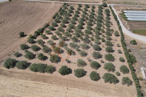 Helårsgrund i Monastir, Sud Sardegna, Monastir - € 70.000 | Ref: 13834 - foto 1