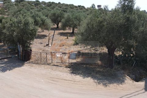 Helårsgrund i Monastir, Sud Sardegna, Monastir - € 70.000 | Ref: 13834 - foto 3