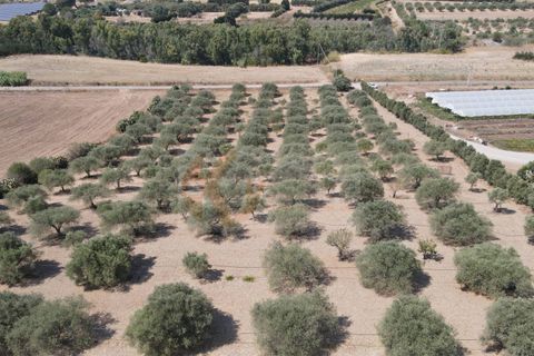 Helårsgrund i Monastir, Sud Sardegna, Monastir - € 70.000 | Ref: 13834 - foto 7