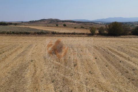 Helårsgrund i Monastir, Sud Sardegna, Monastir - € 70.000 | Ref: 13834 - foto 10