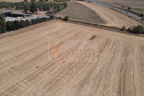 Helårsgrund i Monastir, Sud Sardegna, Monastir - € 70.000 | Ref: 13834 - foto 11