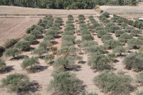 Helårsgrund i Monastir, Sud Sardegna, Monastir - € 70.000 | Ref: 13834 - foto 12