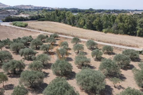 Helårsgrund i Monastir, Sud Sardegna, Monastir - € 70.000 | Ref: 13834 - foto 14