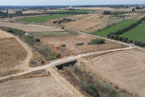 Helårsgrund i Monastir, Sud Sardegna, Monastir - € 50.000 | Ref: 13835 - foto 2