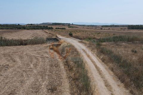 Helårsgrund i Monastir, Sud Sardegna, Monastir - € 50.000 | Ref: 13835 - foto 3