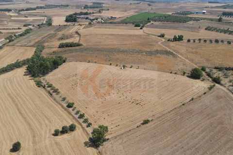 Helårsgrund i Monastir, Sud Sardegna, Monastir - € 50.000 | Ref: 13835 - foto 4