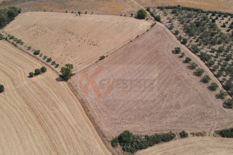 Helårsgrund i Monastir, Sud Sardegna, Monastir - € 50.000 | Ref: 13835 - foto 6