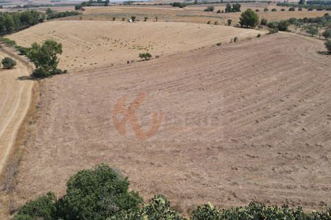 Helårsgrund i Monastir, Sud Sardegna, Monastir - € 50.000 | Ref: 13835 - foto 7