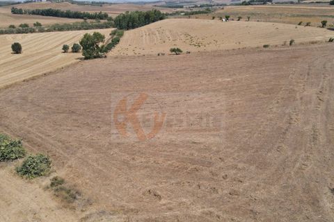 Helårsgrund i Monastir, Sud Sardegna, Monastir - € 50.000 | Ref: 13835 - foto 8