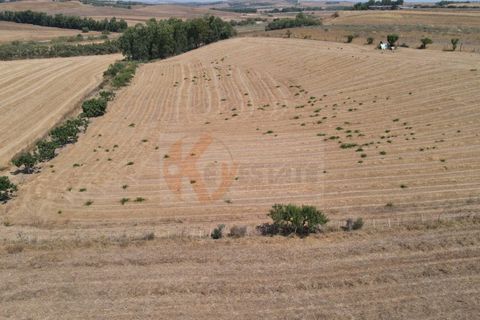 Helårsgrund i Monastir, Sud Sardegna, Monastir - € 50.000 | Ref: 13835 - foto 10