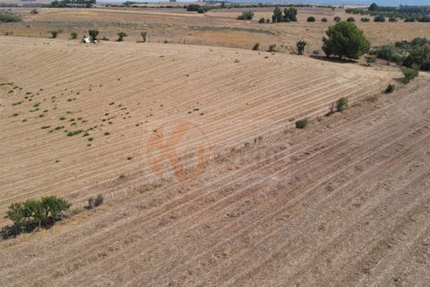 Helårsgrund i Monastir, Sud Sardegna, Monastir - € 50.000 | Ref: 13835 - foto 11