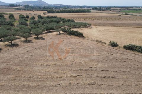 Helårsgrund i Monastir, Sud Sardegna, Monastir - € 50.000 | Ref: 13835 - foto 12