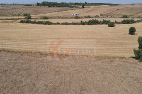 Helårsgrund i Monastir, Sud Sardegna, Monastir - € 50.000 | Ref: 13835 - foto 14