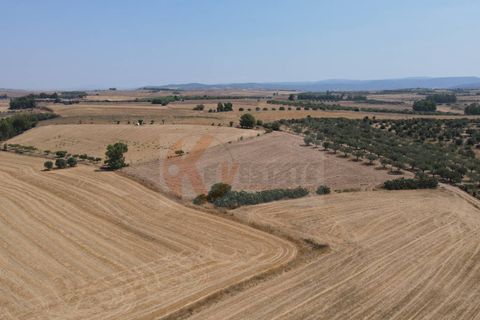 Helårsgrund i Monastir, Sud Sardegna, Monastir - € 50.000 | Ref: 13835 - foto 15