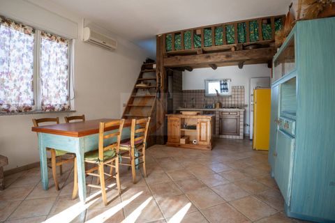 Villa i Bonnanaro, Sassari, Bonnanaro - € 140.000 | Ref: 13840 - foto 2