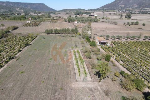 Villa i Bonnanaro, Sassari, Bonnanaro - € 140.000 | Ref: 13840 - foto 15