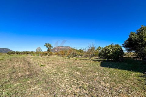 Villa i Bonnanaro, Sassari, Bonnanaro - € 140.000 | Ref: 13840 - foto 19
