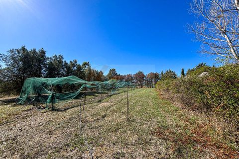 Villa i Bonnanaro, Sassari, Bonnanaro - € 140.000 | Ref: 13840 - foto 23