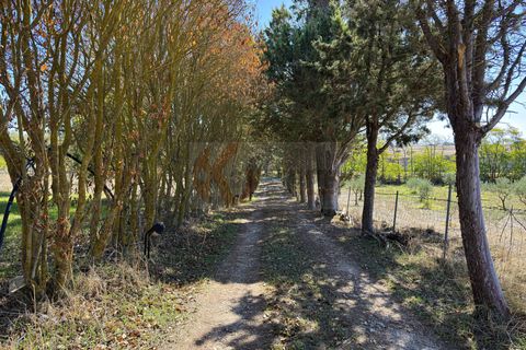 Villa i Bonnanaro, Sassari, Bonnanaro - € 140.000 | Ref: 13840 - foto 33