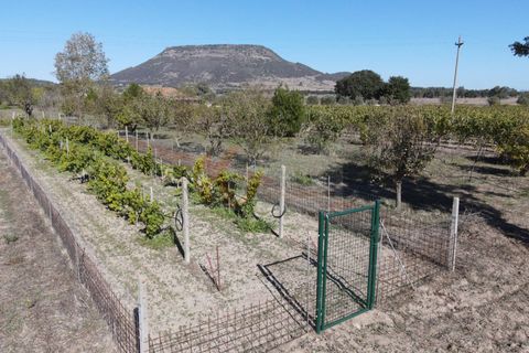 Villa i Bonnanaro, Sassari, Bonnanaro - € 140.000 | Ref: 13840 - foto 39