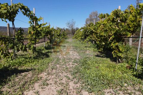 Villa i Bonnanaro, Sassari, Bonnanaro - € 140.000 | Ref: 13840 - foto 40
