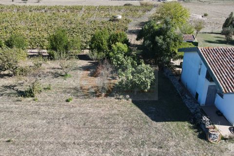Villa i Bonnanaro, Sassari, Bonnanaro - € 140.000 | Ref: 13840 - foto 41