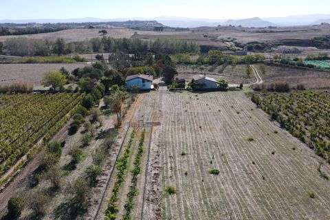 Villa i Bonnanaro, Sassari, Bonnanaro - € 140.000 | Ref: 13840 - foto 42