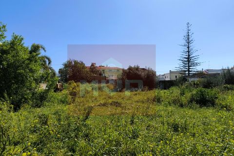 Helårsgrund i Tavira, Faro, Tavira - € 2.500.000 | Ref: 170250078 - foto 2