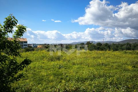 Helårsgrund i Tavira, Faro, Tavira - € 2.500.000 | Ref: 170250078 - foto 8