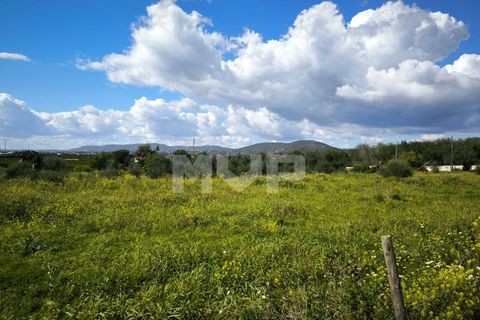 Helårsgrund i Tavira, Faro, Tavira - € 2.500.000 | Ref: 170250078 - foto 10