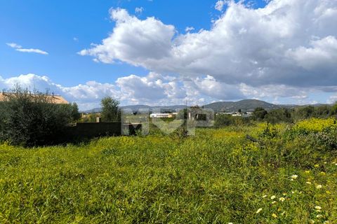 Helårsgrund i Tavira, Faro, Tavira - € 2.500.000 | Ref: 170250078 - foto 13