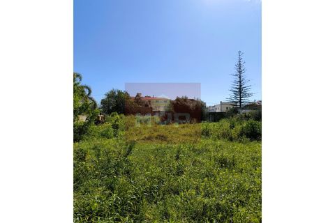Helårsgrund i Tavira, Faro, Tavira - € 2.500.000 | Ref: 170250078 - foto 16