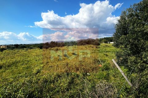 Helårsgrund i Tavira, Faro, Tavira - € 2.500.000 | Ref: 170250078 - foto 17