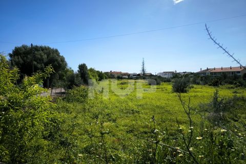Helårsgrund i Tavira, Faro, Tavira - € 2.500.000 | Ref: 170250078 - foto 22
