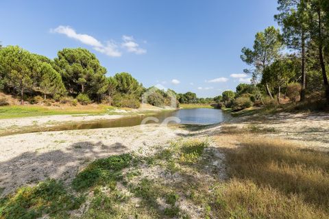 Gård i Mora, Evora, Mora - € 550 000 | Ref: 318/T/03683 - foto 3