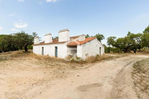 Gård i Mora, Evora, Mora - € 550 000 | Ref: 318/T/03683 - foto 4