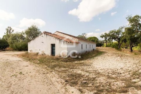 Gård i Mora, Evora, Mora - € 550 000 | Ref: 318/T/03683 - foto 8