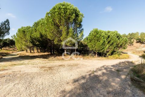 Gård i Mora, Evora, Mora - € 550 000 | Ref: 318/T/03683 - foto 26
