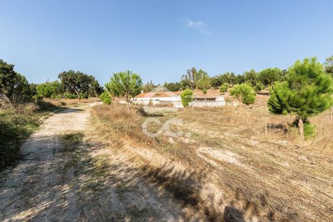 Gård i Mora, Evora, Mora - € 550 000 | Ref: 318/T/03683 - foto 29