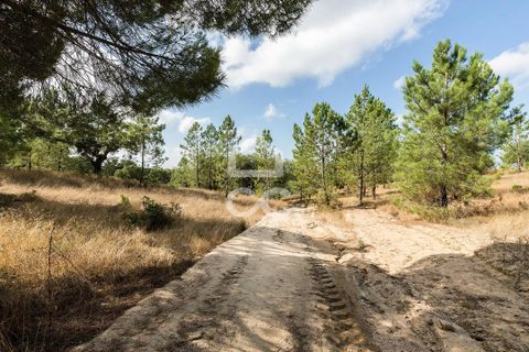 Gård i Mora, Evora, Mora - € 550 000 | Ref: 318/T/03683 - foto 33