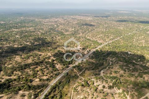Gård i Mora, Evora, Mora - € 550 000 | Ref: 318/T/03683 - foto 37