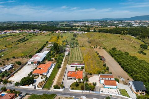 Villa i Riachos, Santarem, Riachos - € 770.000 | Ref: PE-123751151-121 - foto 5